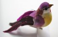 Veren vogel 205589